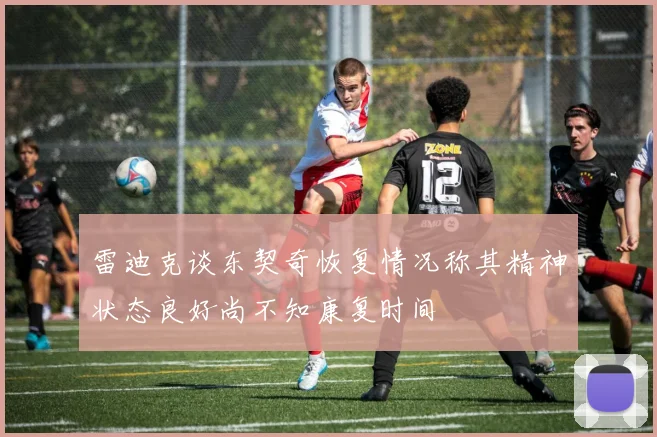 雷迪克谈东契奇恢复情况称其精神状态良好尚不知康复时间